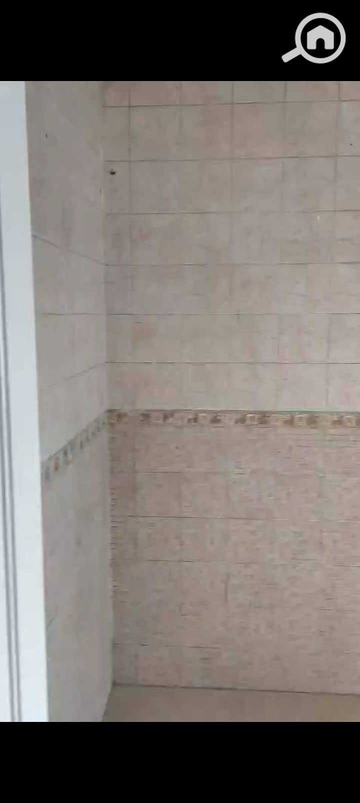 8 1000027381. jpg