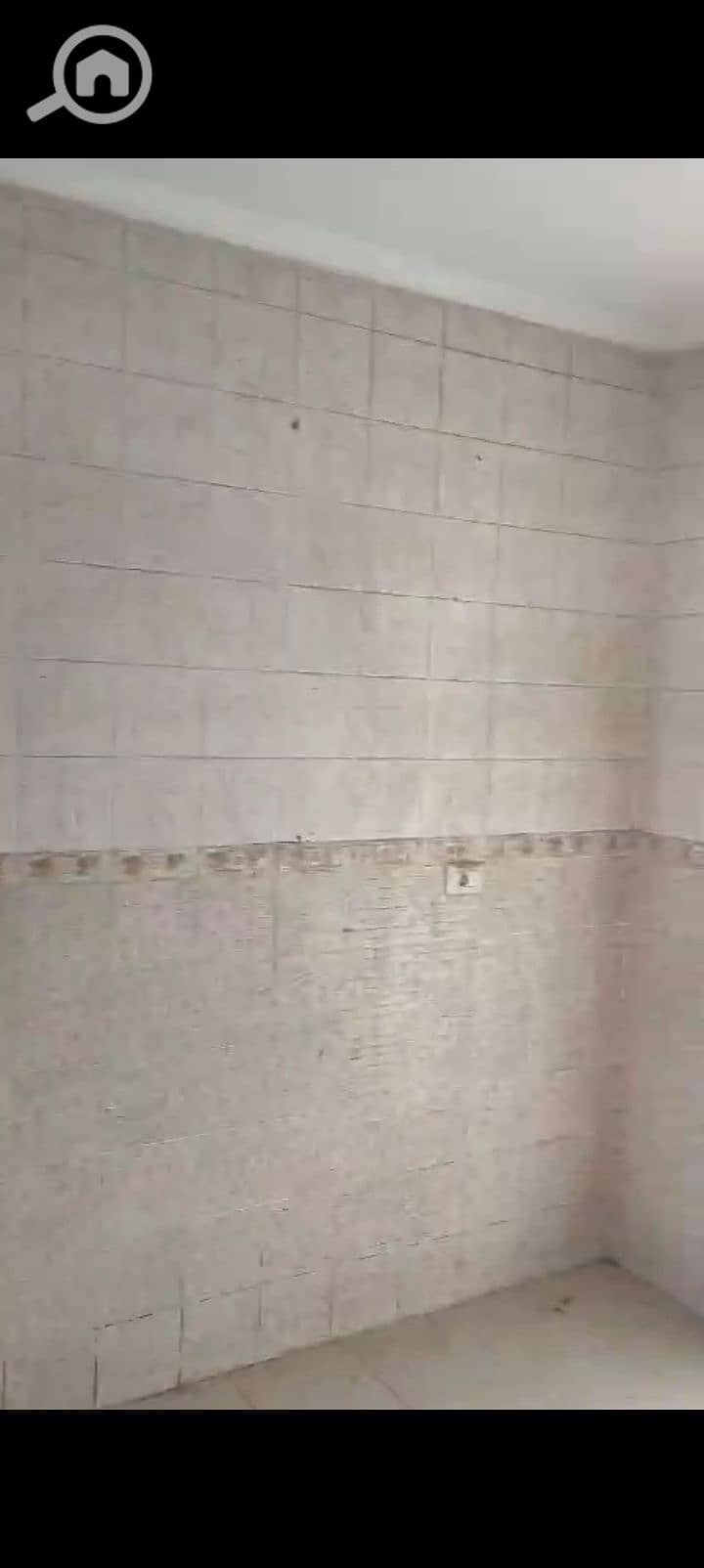 9 1000027382. jpg