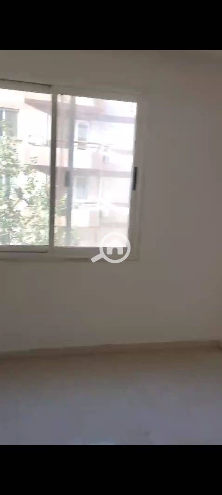12 1000027385. jpg