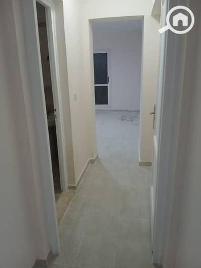 3 Bedroom Flat for Rent in New Cairo, Cairo - WhatsApp Image 2026-08-24 at 6.58. 25 PM(3). jpeg 3 Bedroom Flat for Rent in New Cairo, Cairo - WhatsApp Image 2026-08-24 at 6.58. 25 PM(3). jpeg
