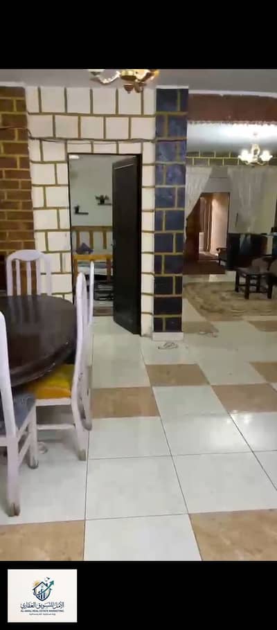 3 Bedroom Flat for Rent in Maadi, Cairo - 1000259865. jpg 3 Bedroom Flat for Rent in Maadi, Cairo - 1000259865. jpg