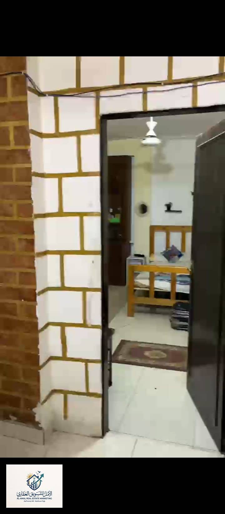 3 1000259869. jpg