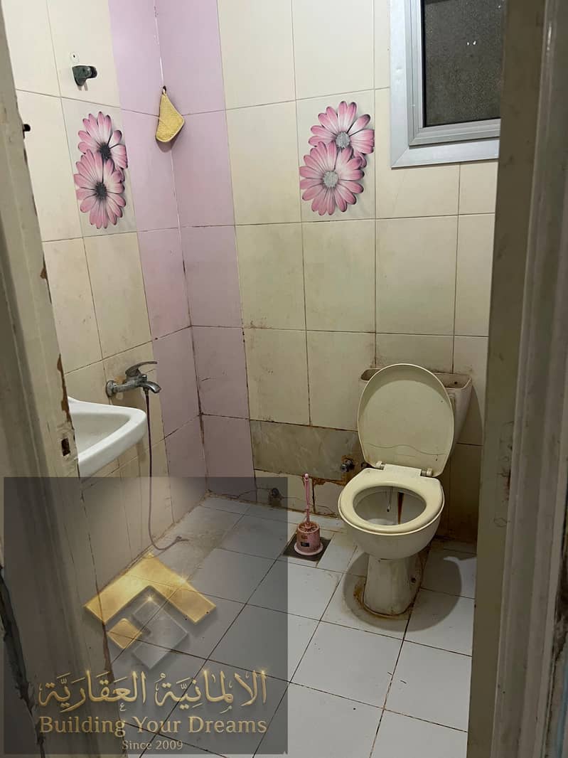4 1000158205. jpg