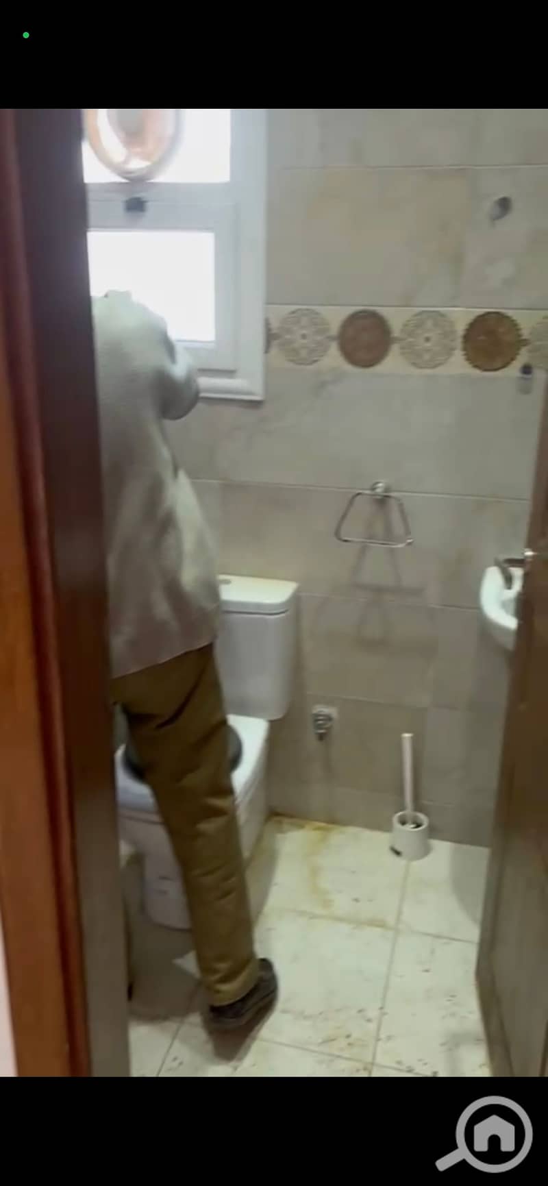 20 938843. jpg