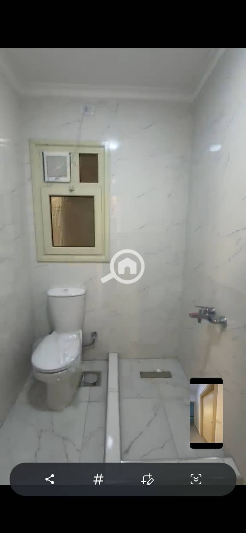 4 202694. jpg