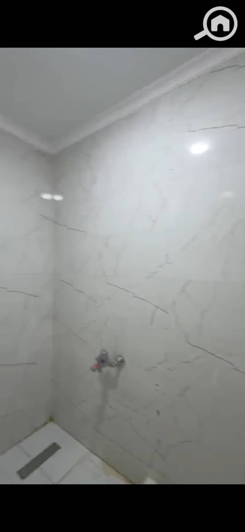 5 202698. jpg