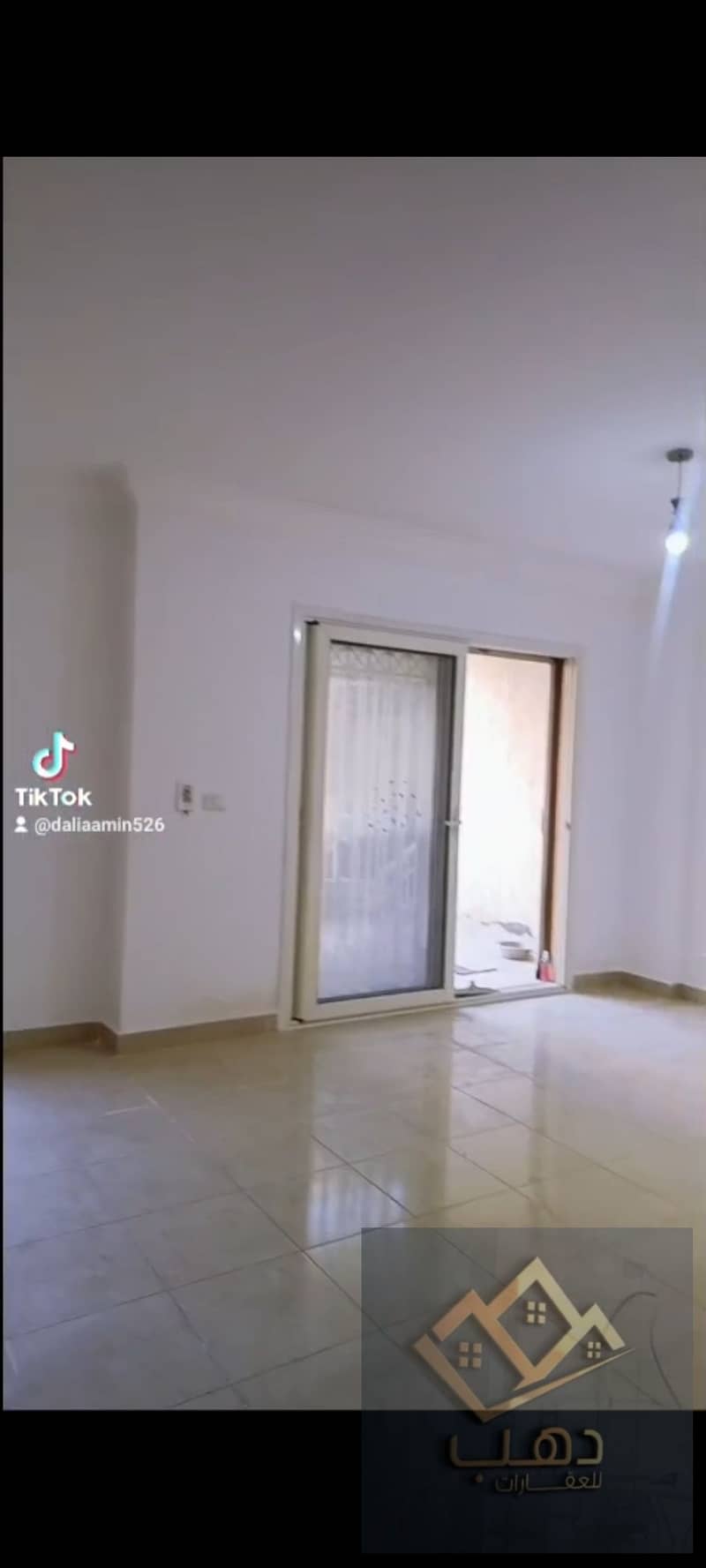 5 515483. jpg