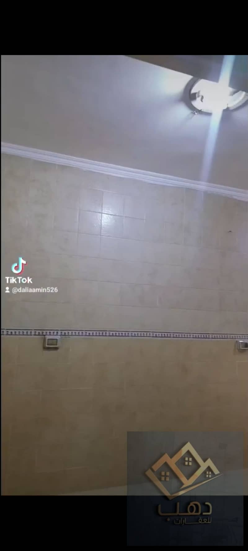 6 515478. jpg