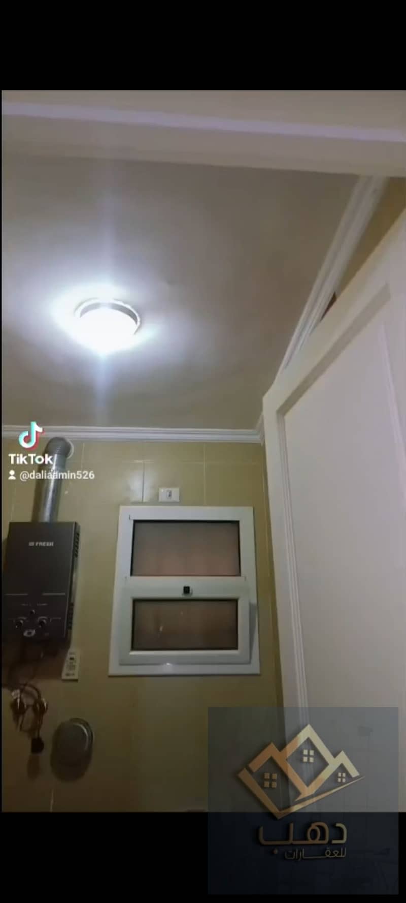 9 515487. jpg