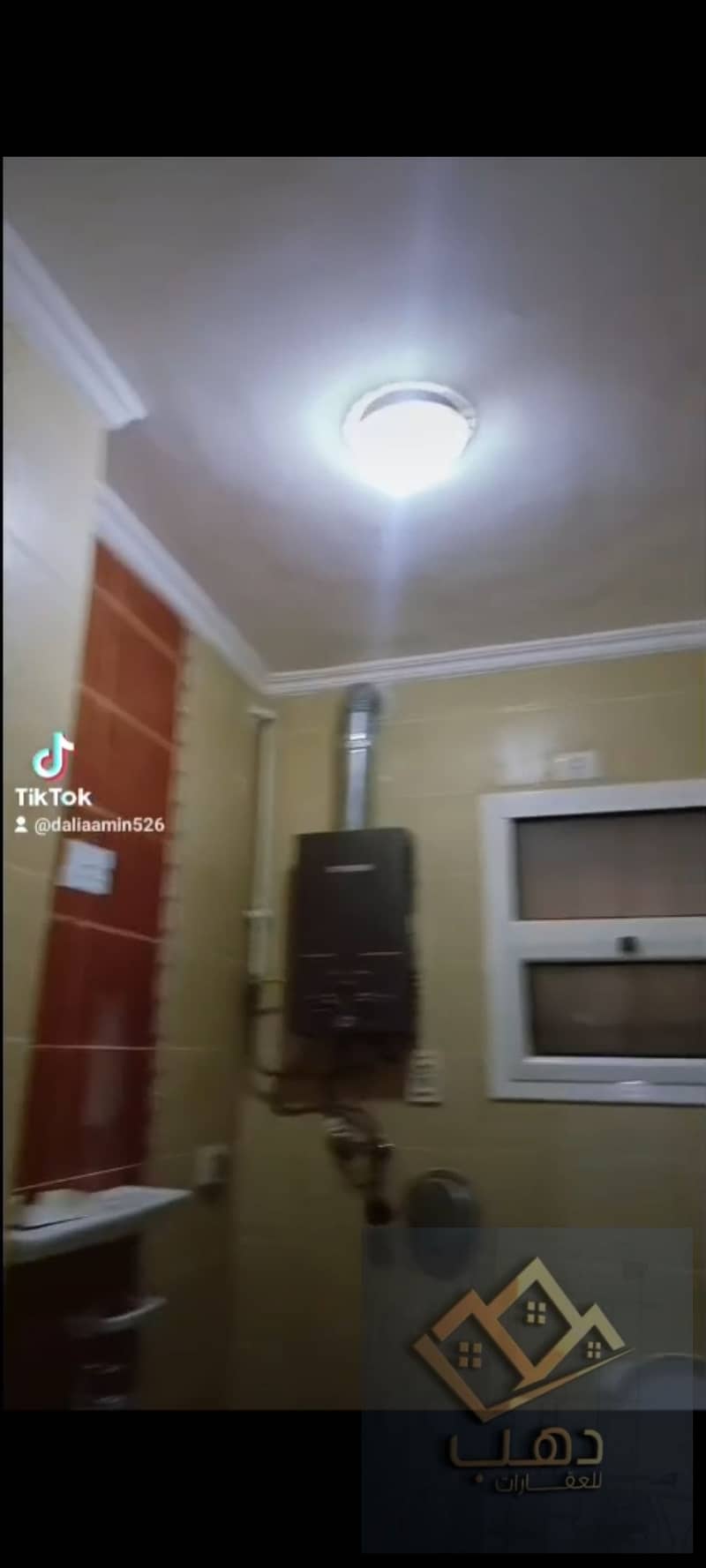 10 515488. jpg