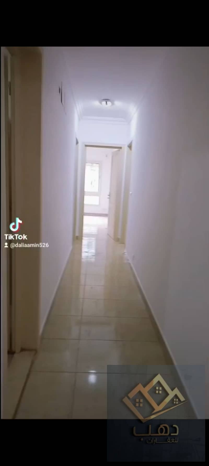 11 515489. jpg