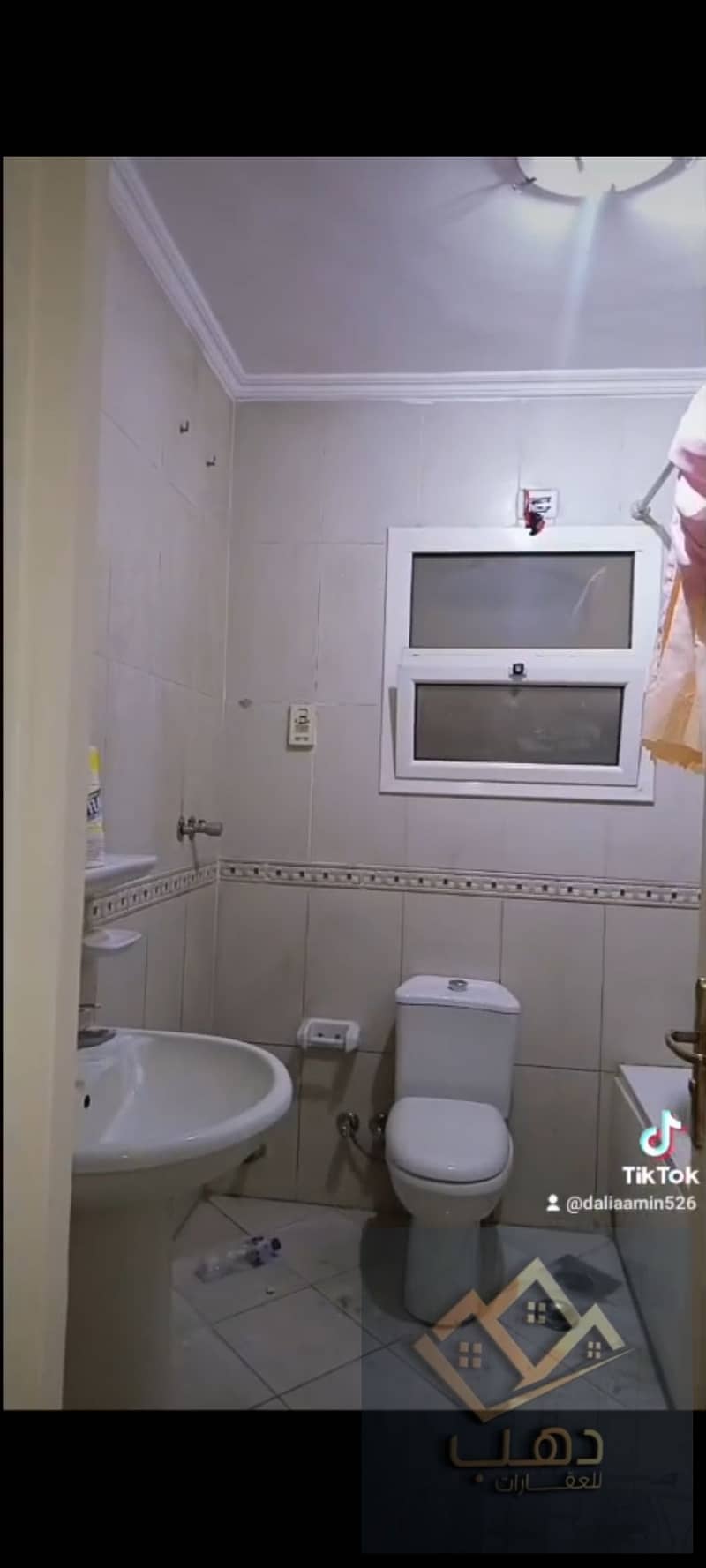 12 515491. jpg