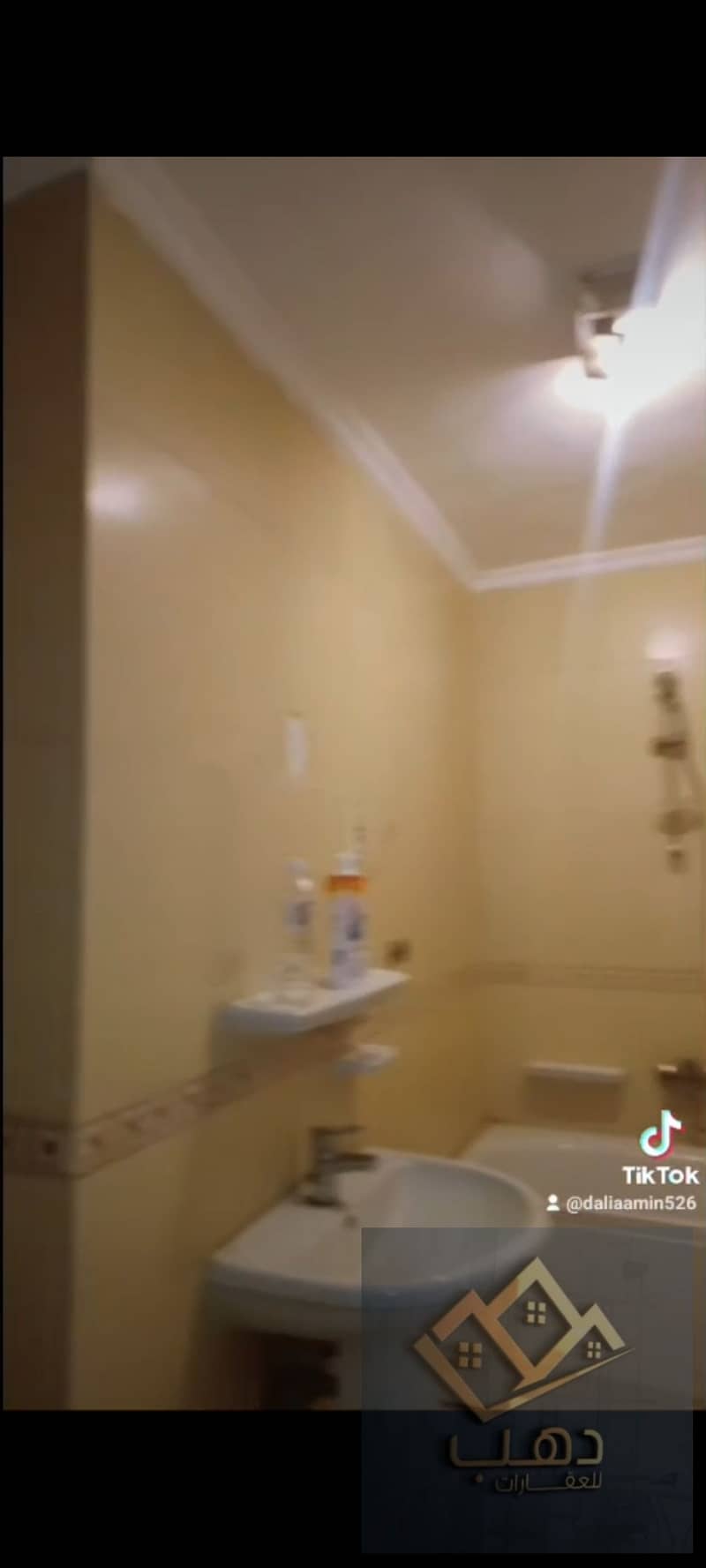 18 515502. jpg