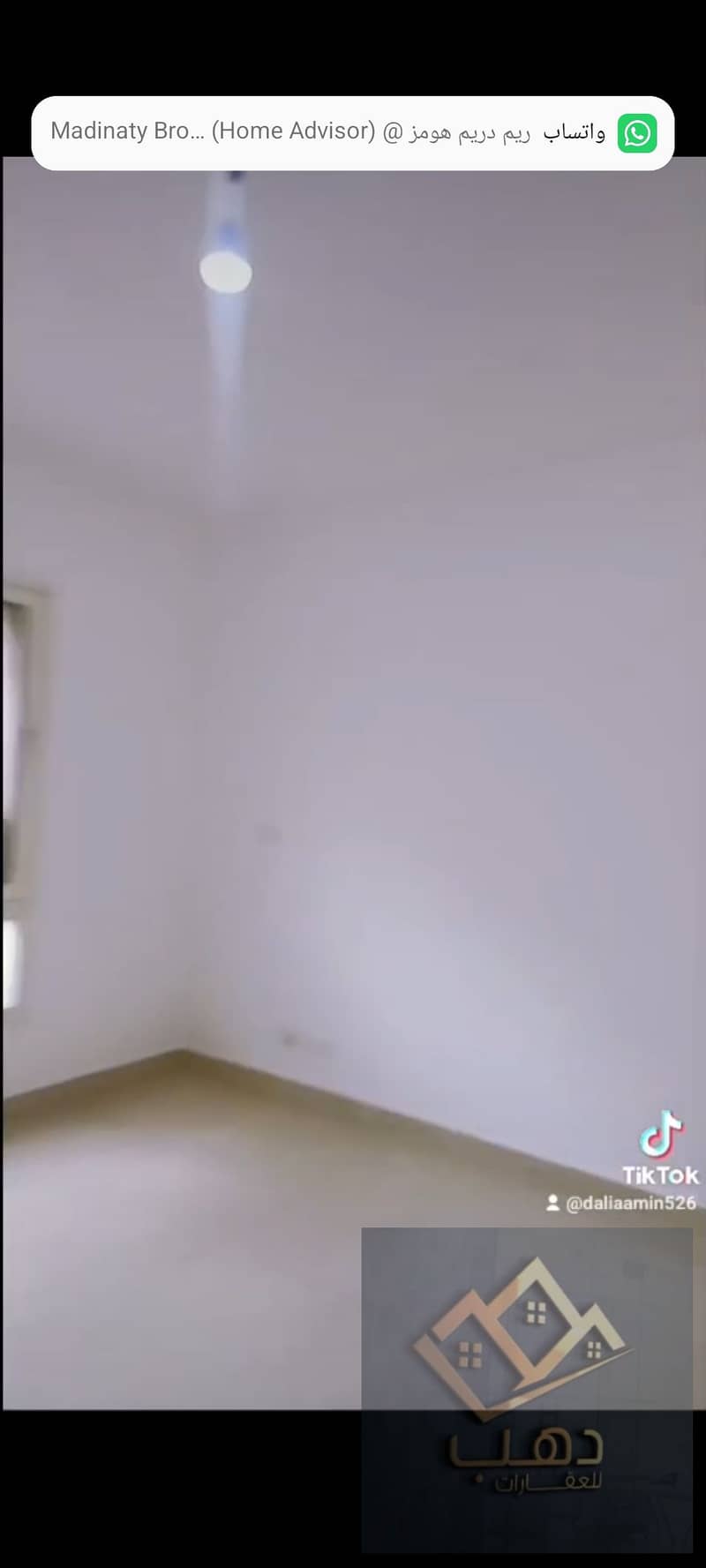 20 515504. jpg