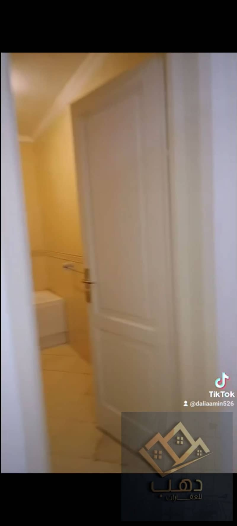 21 515505. jpg