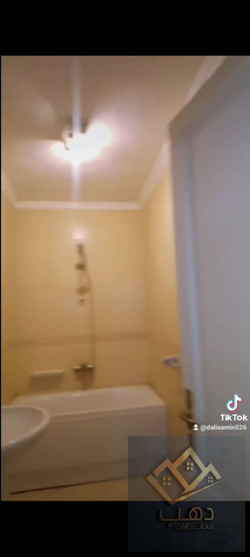 27 515506. jpg