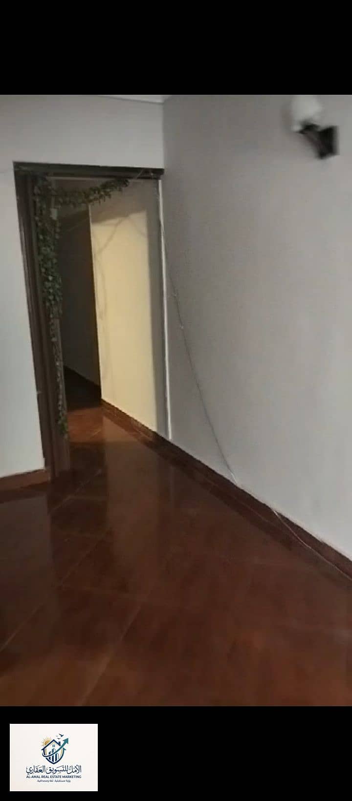 5 1000259966. jpg