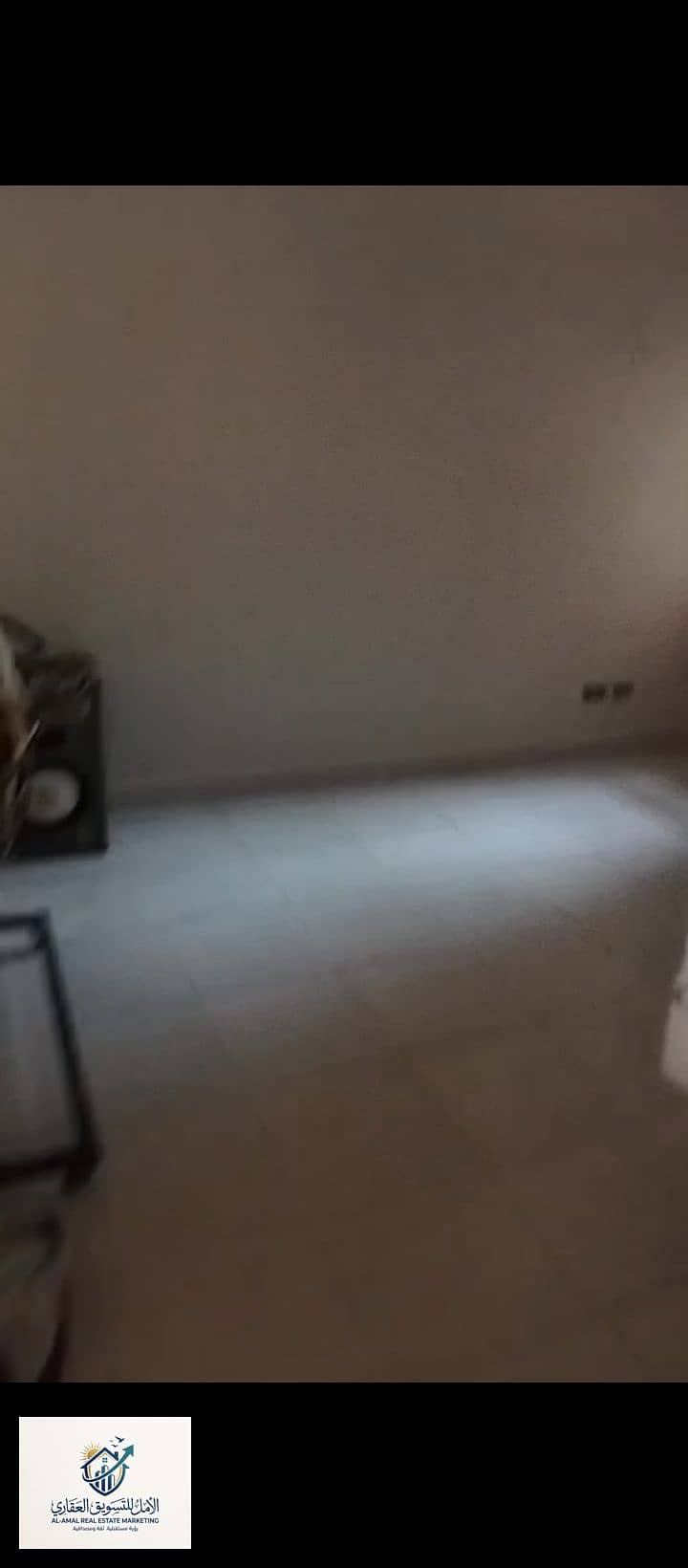 13 1000259980. jpg
