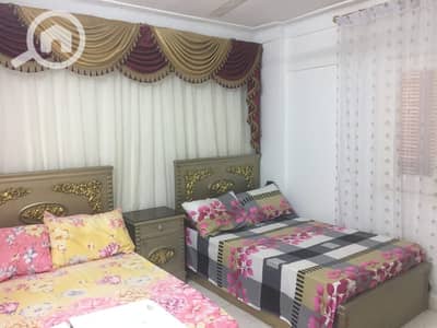 2 Bedroom Flat for Rent in Nakheel, Alexandria - 1001043449. jpg