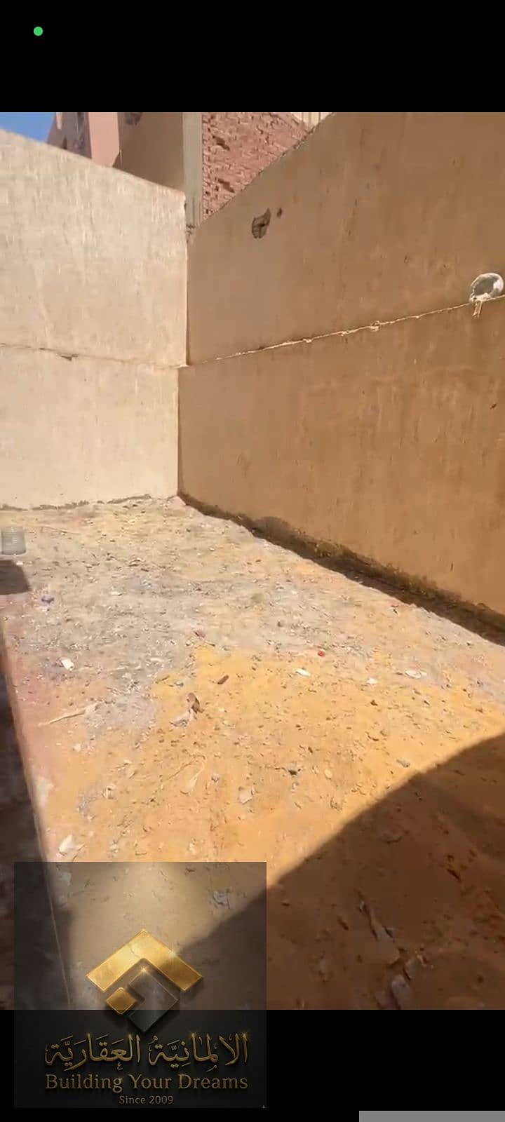 8 25746. jpg