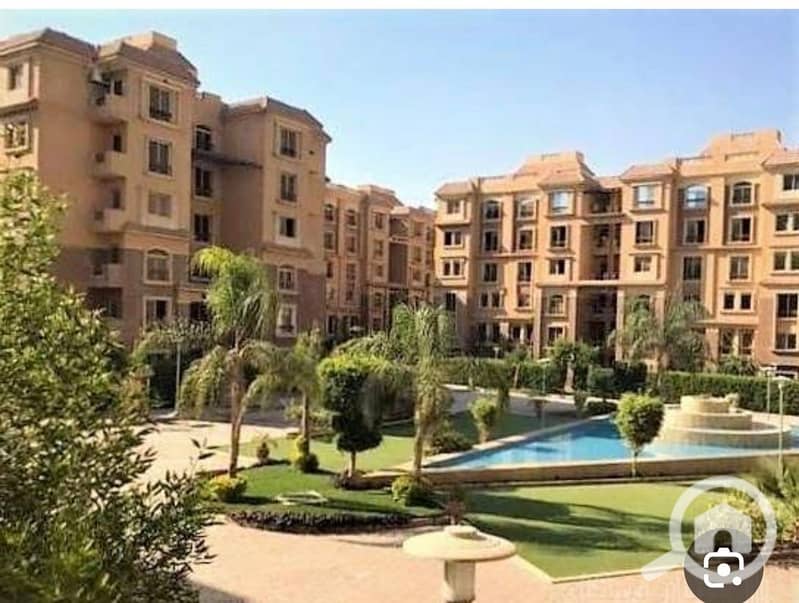 4 939242. jpg