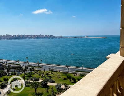 شقة 2 غرفة نوم للبيع في الأزاريطة، الإسكندرية - IMG-20260824-WA0029. jpg شقة 2 غرفة نوم للبيع في الأزاريطة، الإسكندرية - IMG-20260824-WA0029. jpg