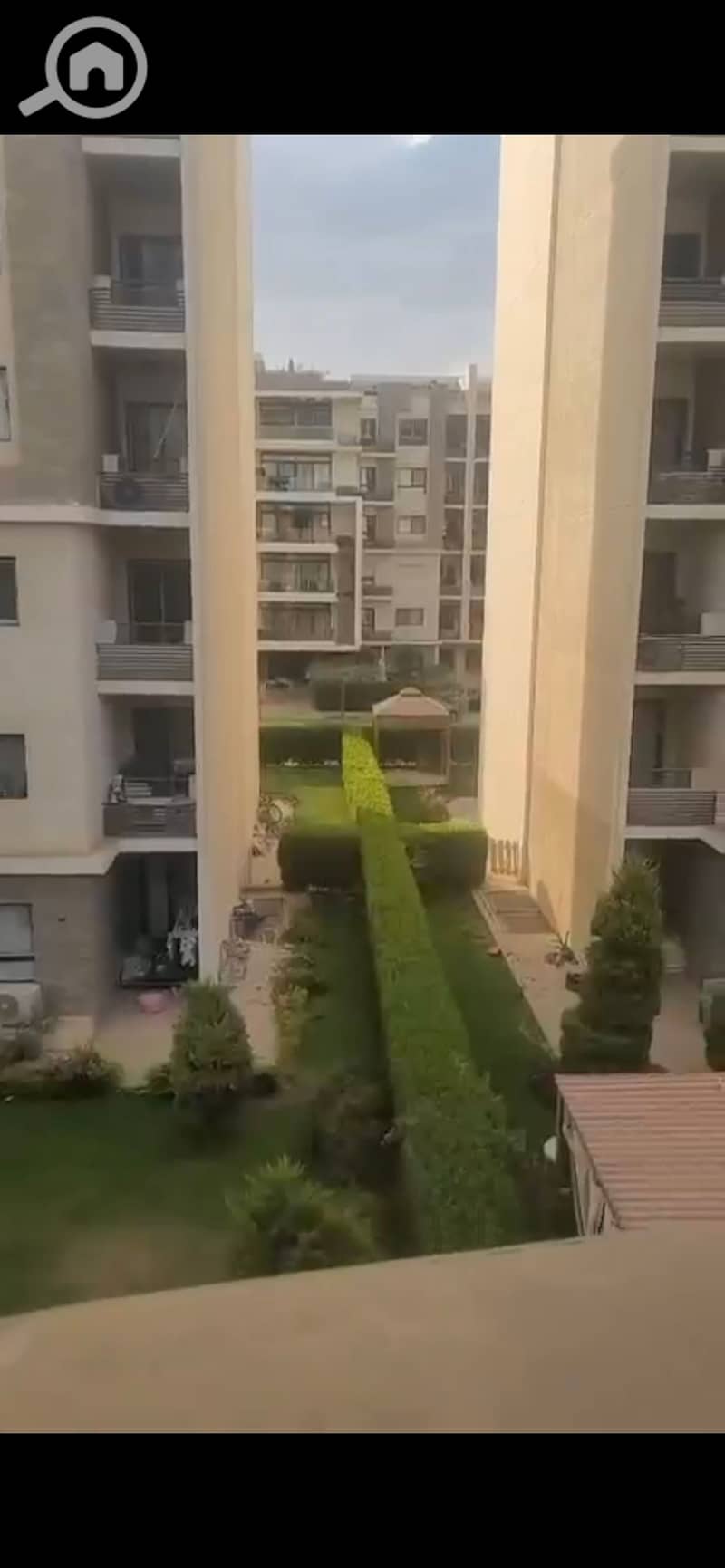 4 939309. jpg