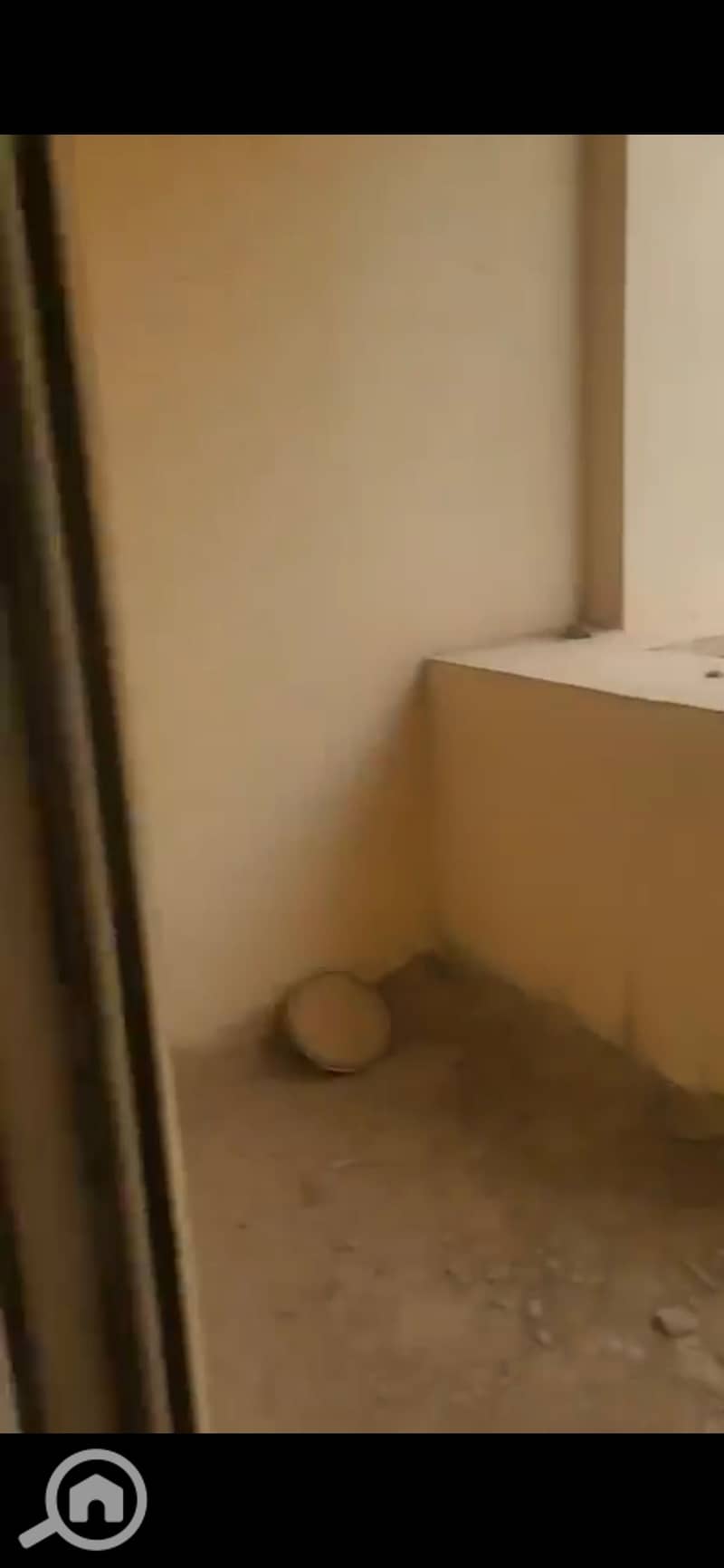 10 939302. jpg