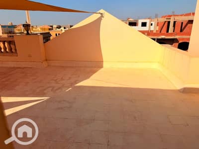 1 Bedroom Roof for Rent in Sheikh Zayed, Giza - 1000437560. jpg 1 Bedroom Roof for Rent in Sheikh Zayed, Giza - 1000437560. jpg