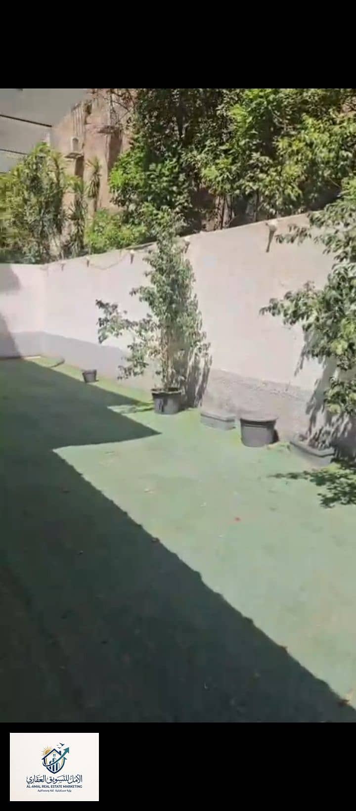 14 1000247703. jpg