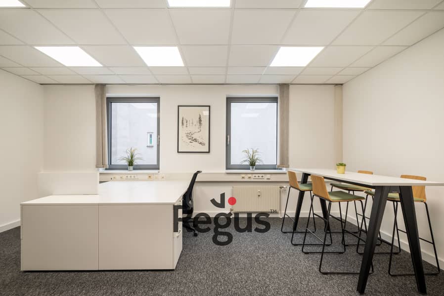 6 Regus_Mariahilfer-Strasse_22_Vienna_Austria_Small-office_1. jpeg