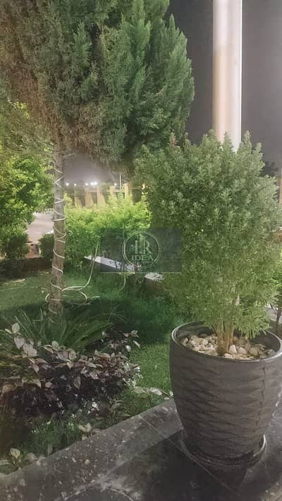 3 Bedroom Apartment for Sale in New Cairo, Cairo - WhatsApp Image 2026-08-25 at 12.00. 41 PM (4). jpeg 3 Bedroom Apartment for Sale in New Cairo, Cairo - WhatsApp Image 2026-08-25 at 12.00. 41 PM (4). jpeg