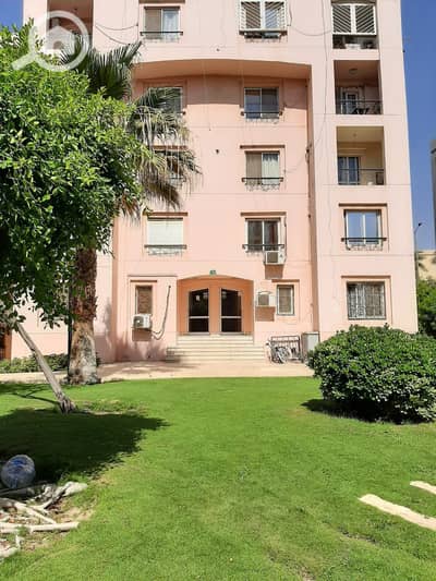 2 Bedroom Flat for Rent in New Cairo, Cairo - 1000059419. jpg