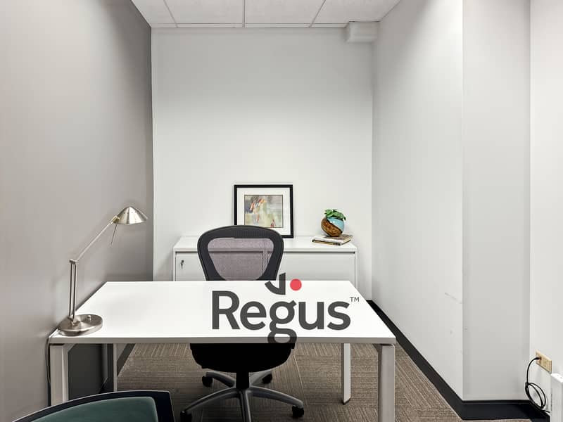 10 Regus_IL, Chicago - 401 North Michigan_USA_Centre 1071_Office 10. jpg