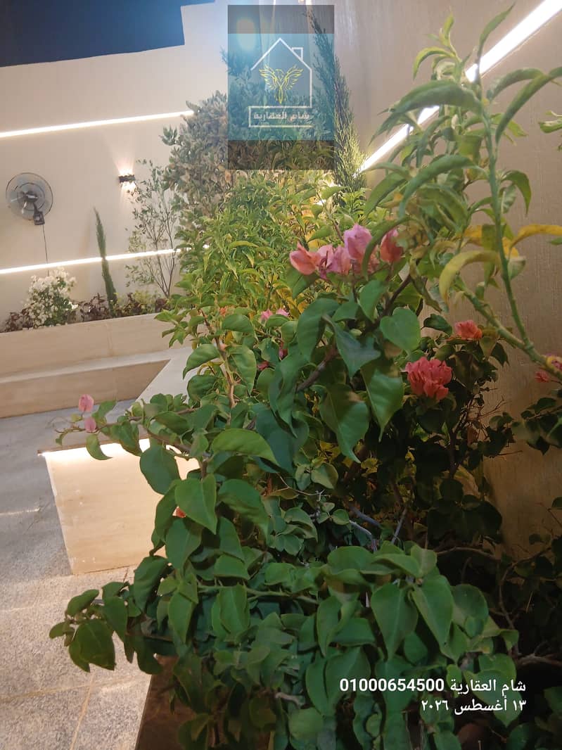 48 ٢٠٢٦٠٨١٣_٠١٢٥٣١. jpg
