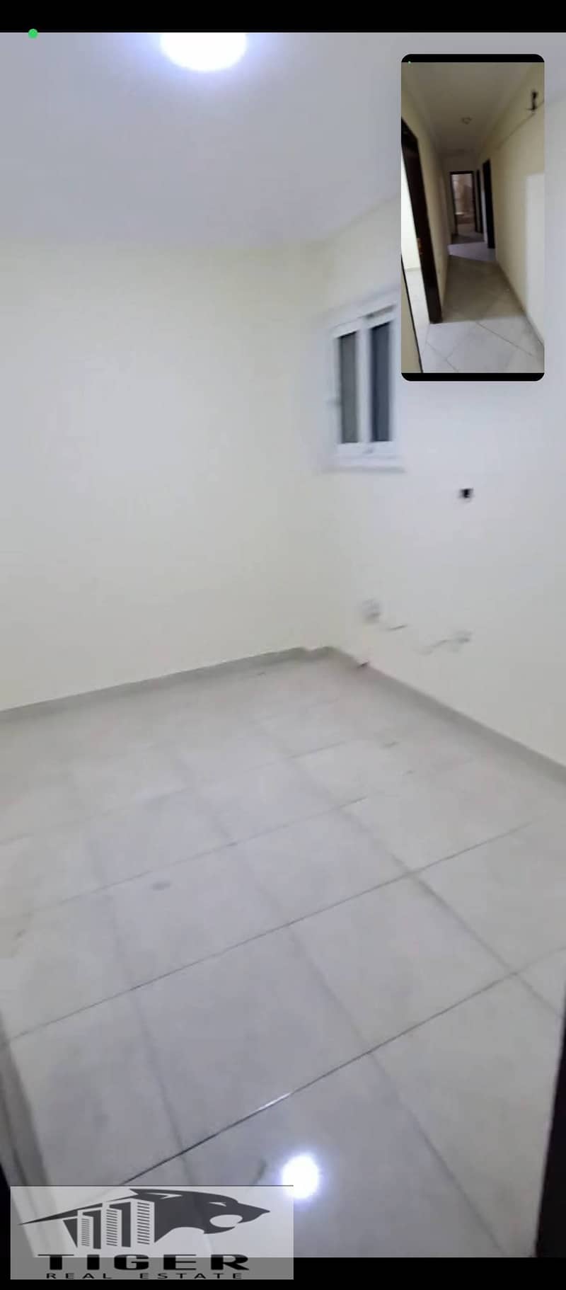 2 237783. jpg