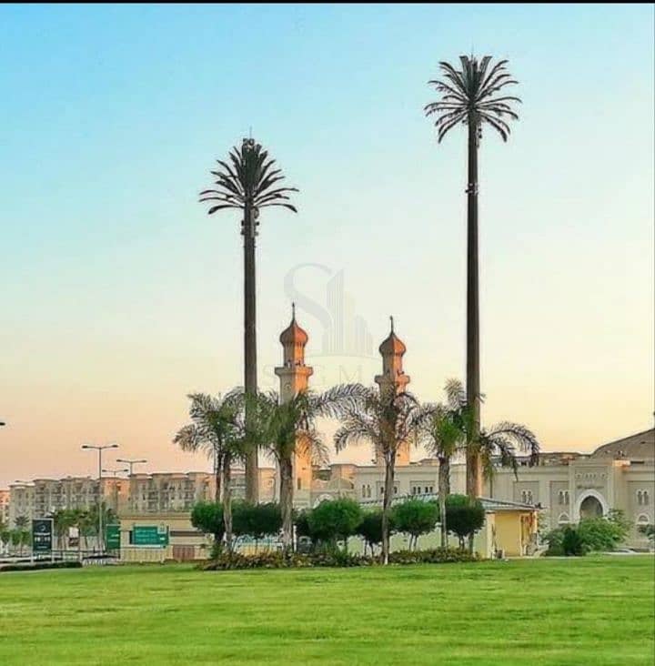 4 1000016968. jpg