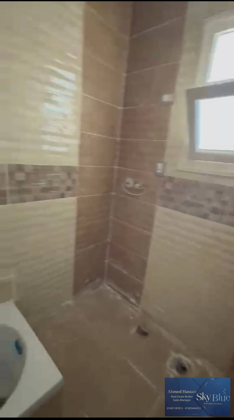 7 323119. jpg