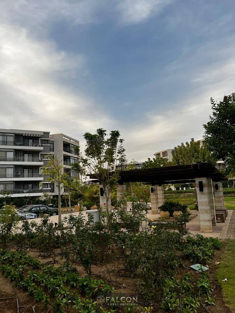 5 347256227_256508290398818_7697445524350337817_n. jpg