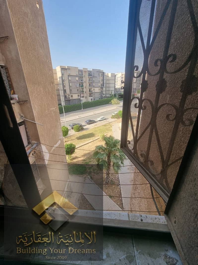 15 359729. jpg