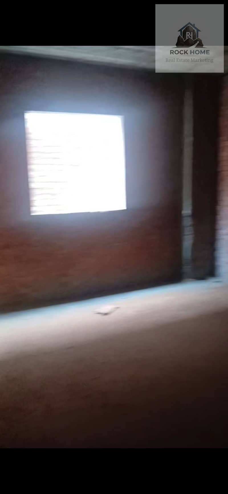 9 1000385733. jpg