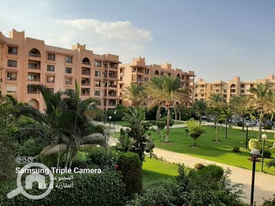 4 Bedroom Apartment for Rent in New Cairo, Cairo - 74776. jpg