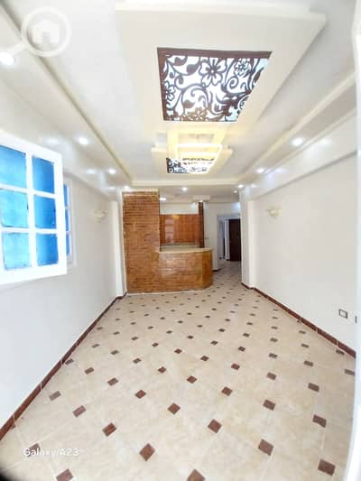 شقة 2 غرفة نوم للبيع في النخيل، الإسكندرية - 1000478878. heic