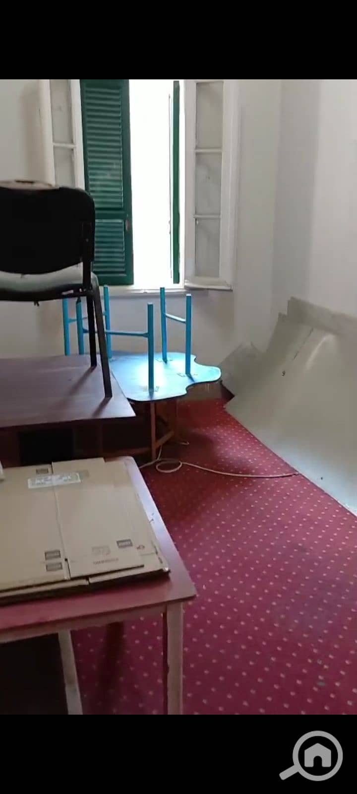 13 1000512175. png
