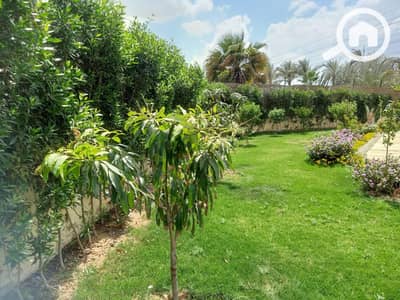 فیلا 6 غرف نوم للبيع في 6 اكتوبر، الجيزة - 1000039093. jpg
