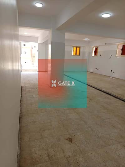 Factory for Rent in 10th of Ramadan, Sharqia - e729afbf-f17a-4b84-b700-36b9ff5f66cf. jpg Factory for Rent in 10th of Ramadan, Sharqia - e729afbf-f17a-4b84-b700-36b9ff5f66cf. jpg