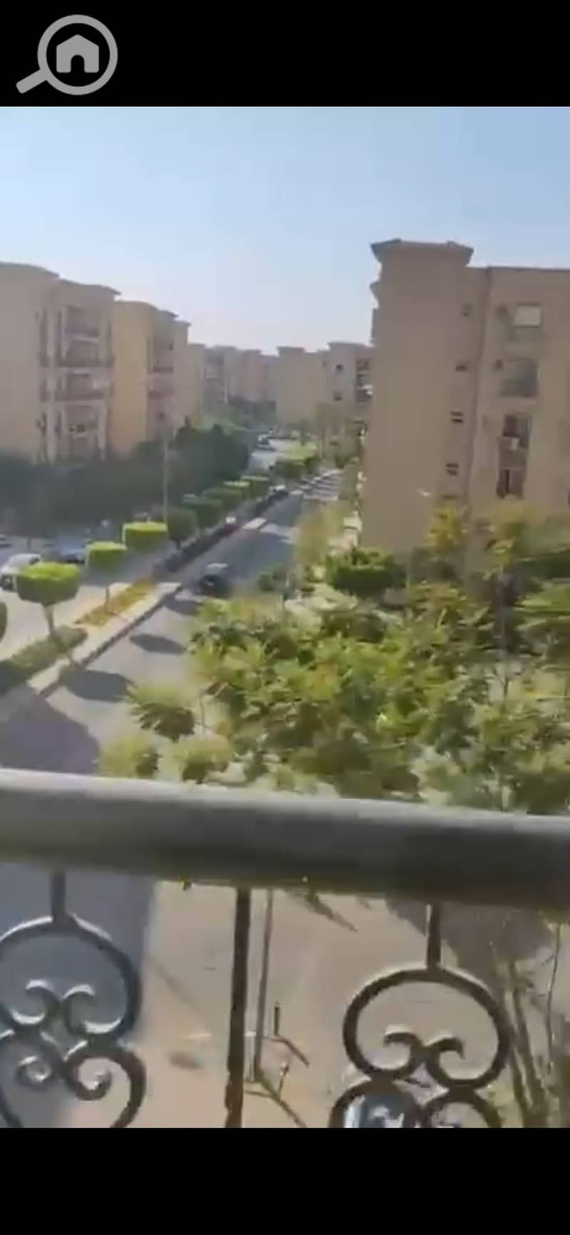 2 1000748986. jpg