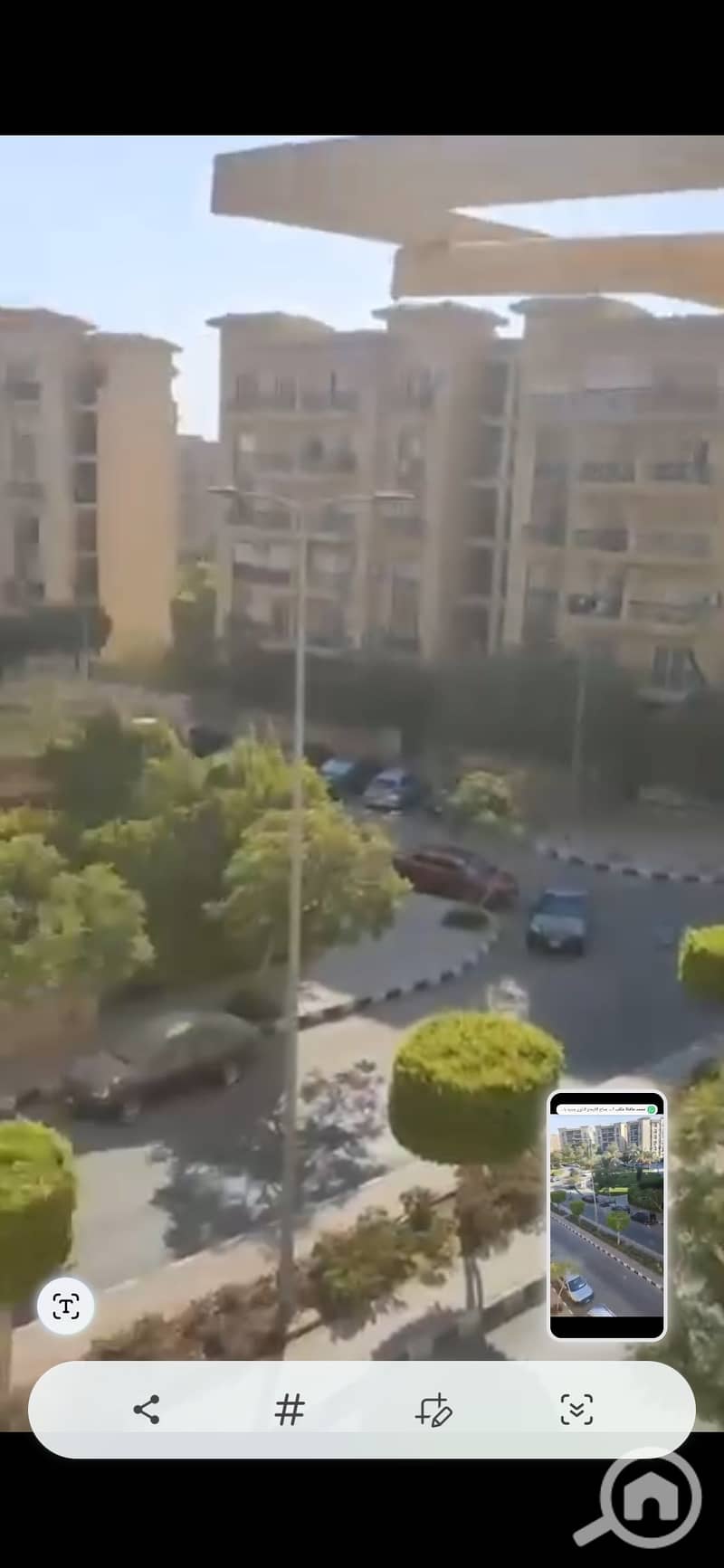 3 1000748974. jpg