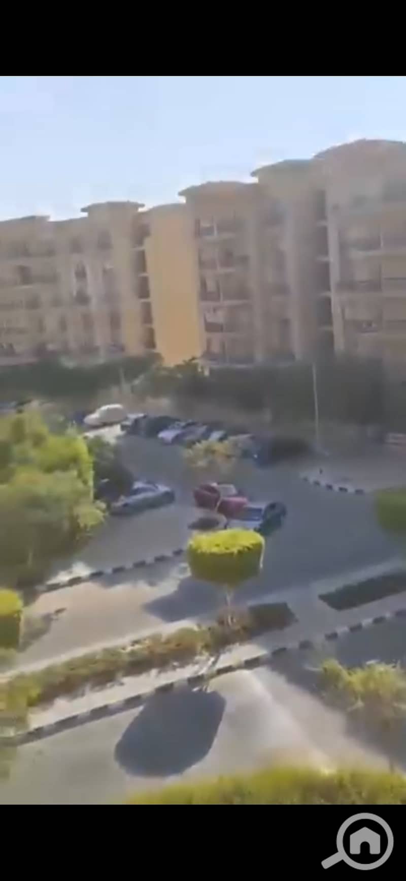 7 1000748962. jpg