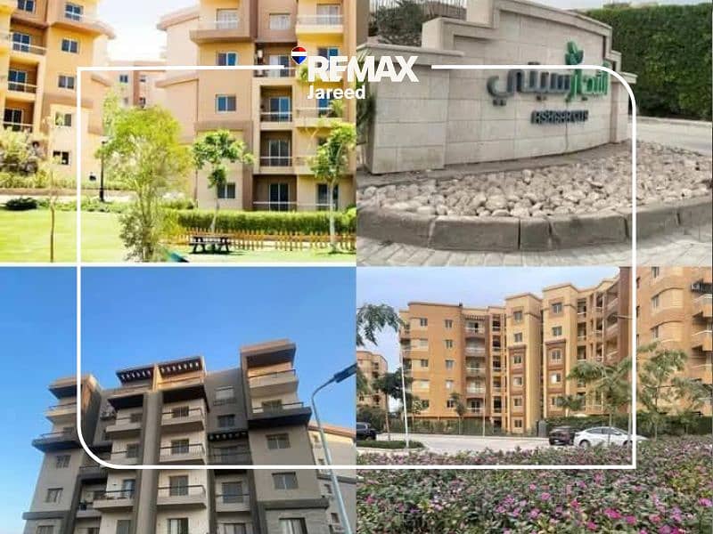 12 Mahmoud-zakaroia-1498---13. png---73ab0da5fcefe89e0a44412a1051b8f3. png